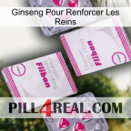 Ginseng For Reinforcing Kidney 33